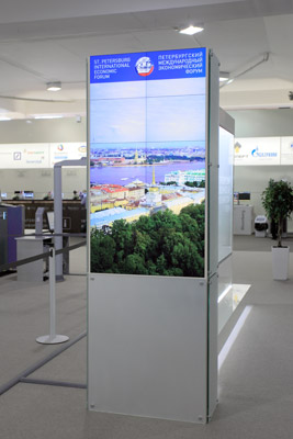 Викинг на Петербургском международном экономическом форуме