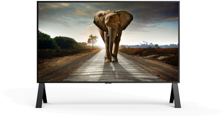 img-p-8m-b120c-front-horizontal-elephant-380.jpg